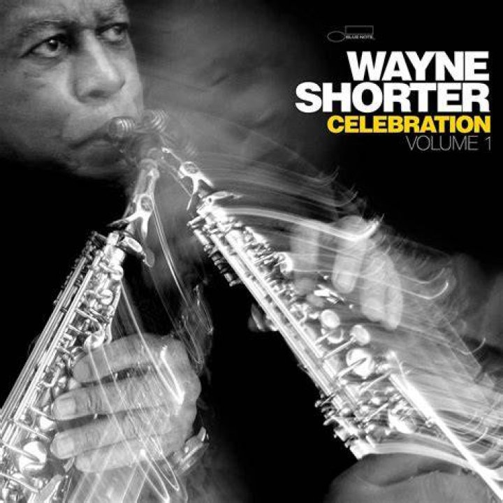 Wayne 1