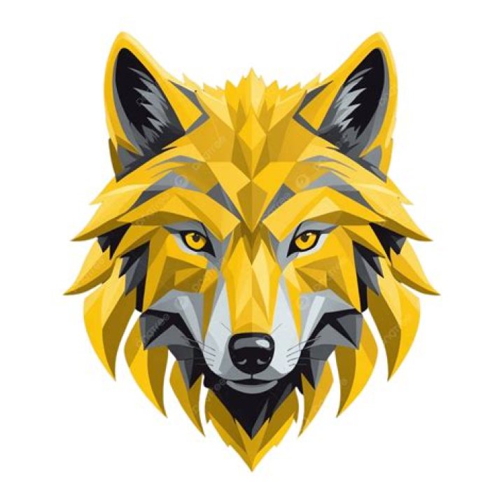 Yellow Wolf's Wife
